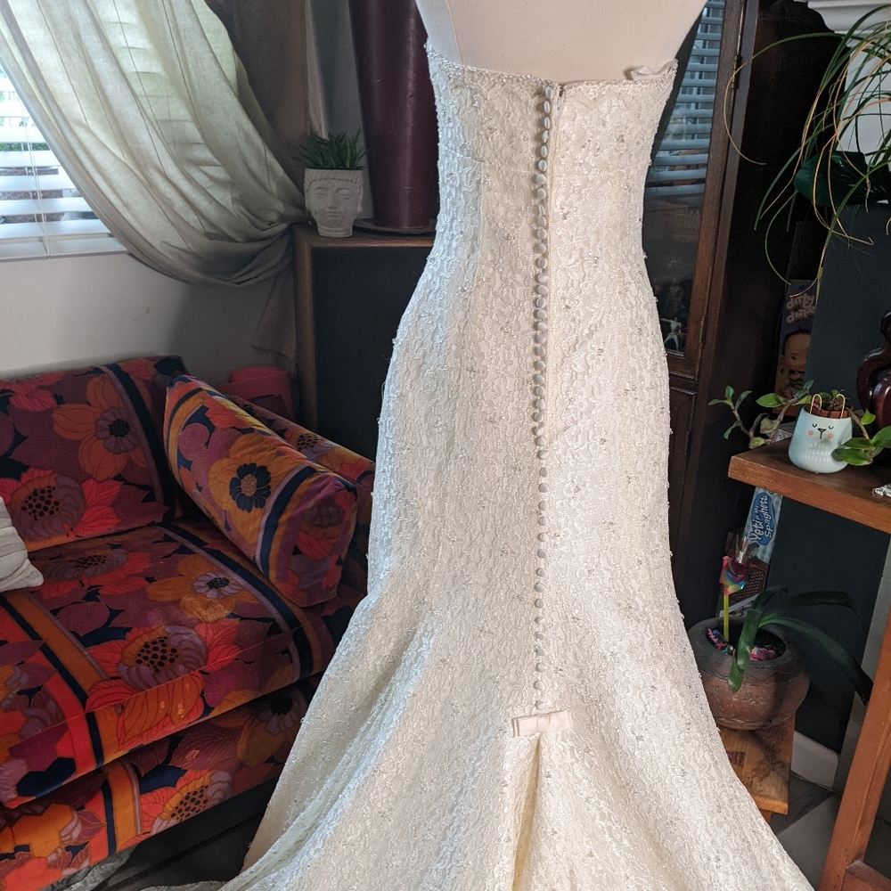 Pronovias Albeniz Tirso Wedding dress - Picture 6 of 15